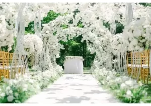 Affordable Wedding Packages with Venue